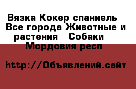 Вязка Кокер спаниель - Все города Животные и растения » Собаки   . Мордовия респ.